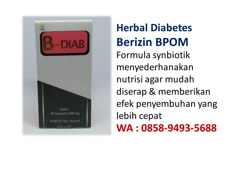 WA 0858-9493-5688 obat herbal untuk diabetes remaja – Obat diabetes
